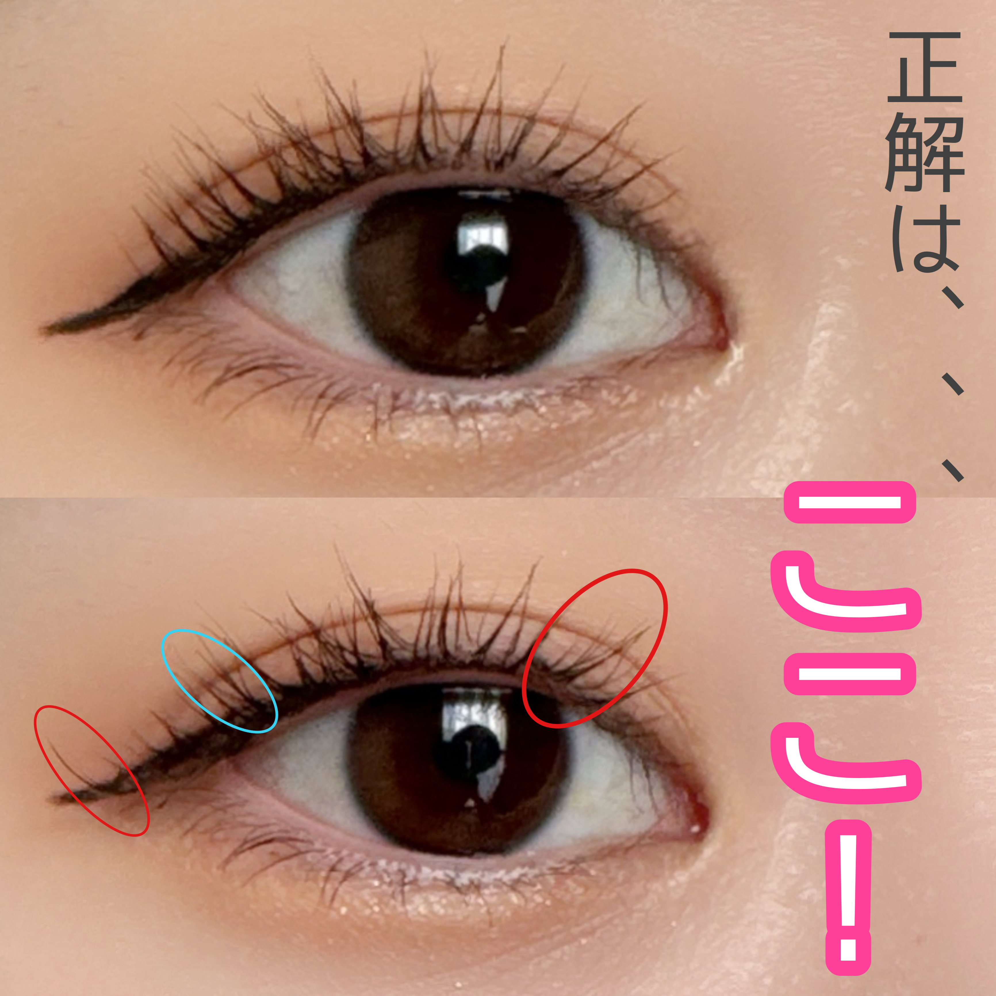 部分用つけまつ毛｜DAISOの口コミ - ご覧いただきありがとう