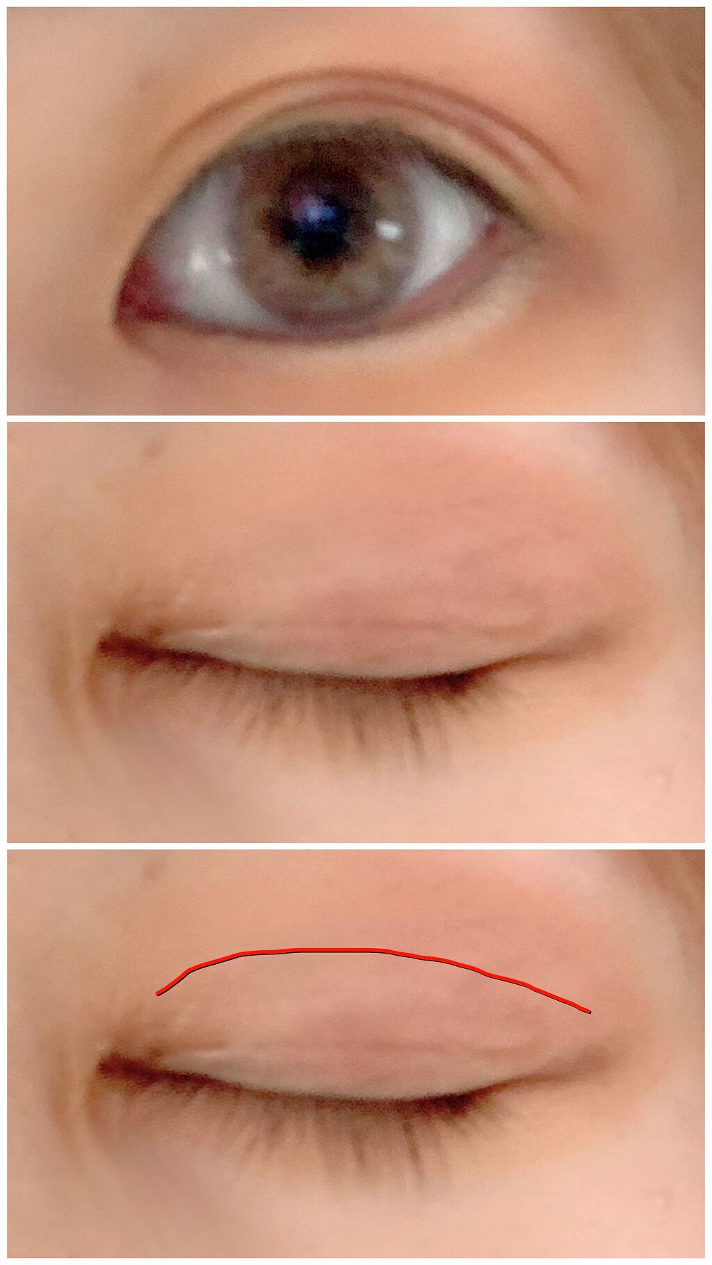 ローヤルプチアイムSプラス～スーパーハード～/ROYAL/二重まぶた用アイテムを使ったクチコミ（1枚目）