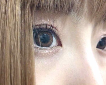 【橋本環奈になれるカラコン🌱】


Twitterで橋本環奈ちゃんになれるカラコンとしておバズりになられてましたフランミーのカラコン。メープルシフォン。

ホイホイなので買いました…結論から申します。
