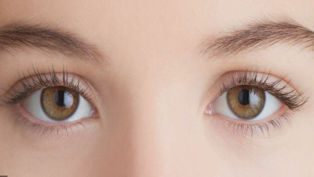 ラッシュ セラム/ロレアル パリ/まつげ美容液を使ったクチコミ(2枚目)