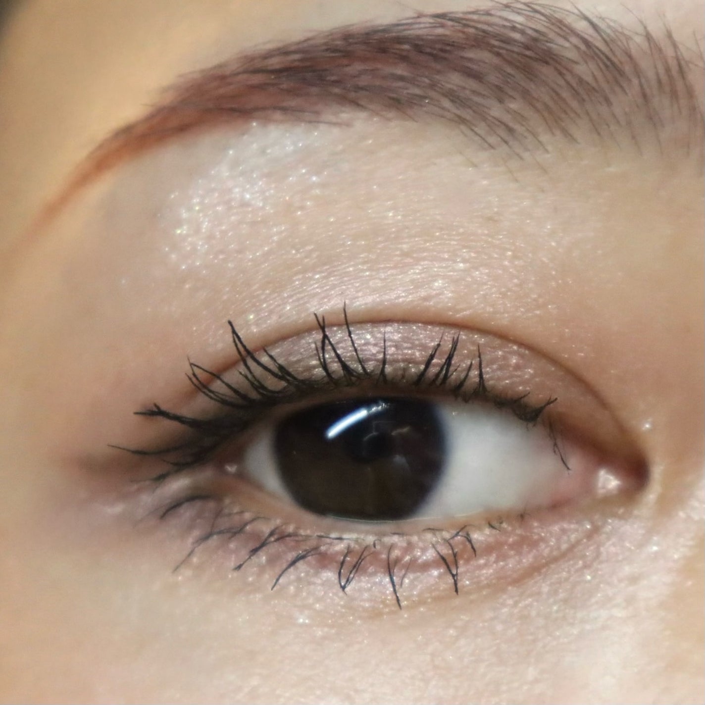 セルヴォーク ヴァティック アイパレット/Celvoke/アイシャドウパレットを使ったクチコミ(4枚目)