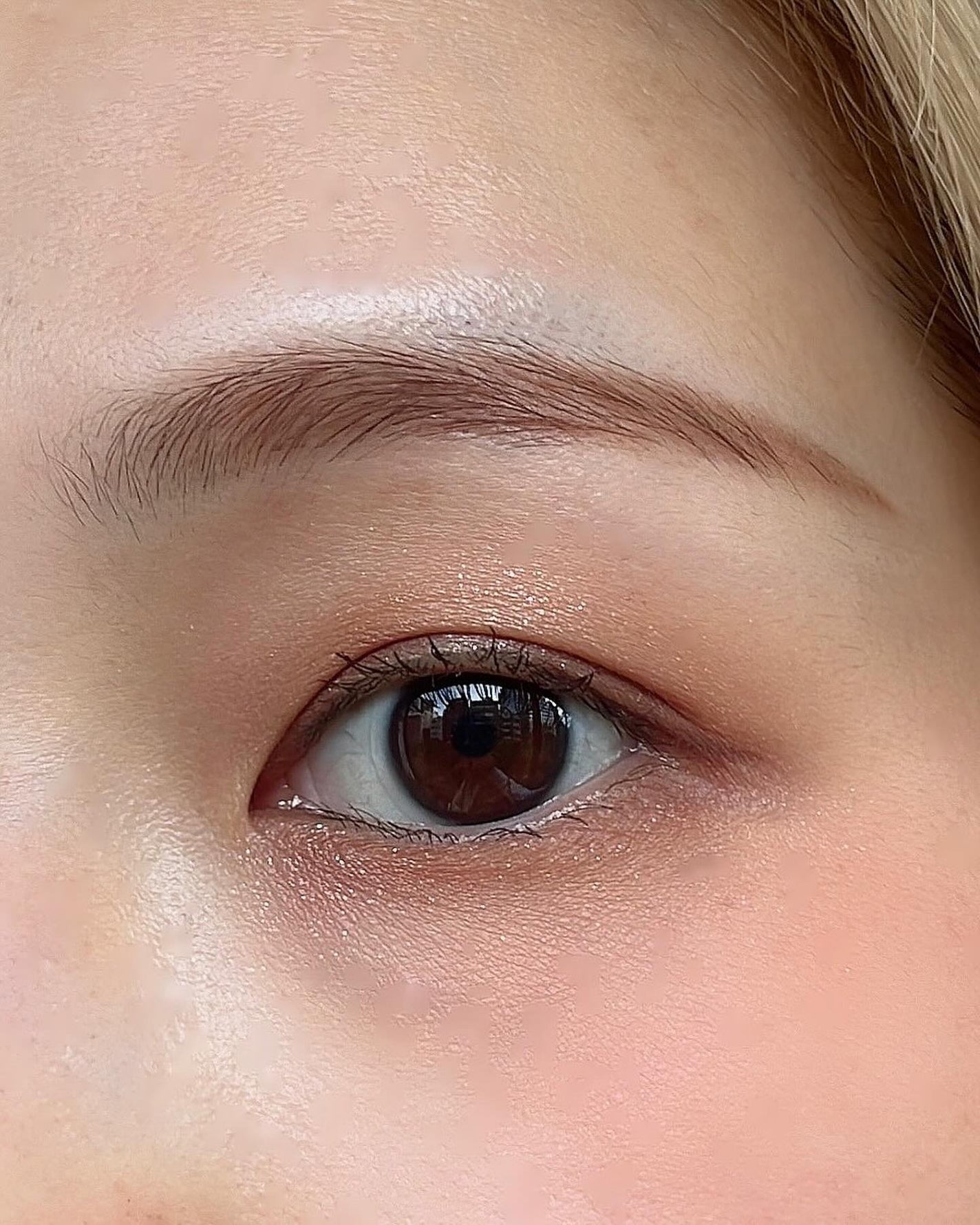 プティパレットアイズ/キャンメイク/パウダーアイシャドウを使ったクチコミ(6枚目)