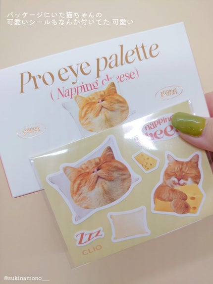 プロ アイ パレット/CLIO/アイシャドウパレットを使ったクチコミ(3枚目)