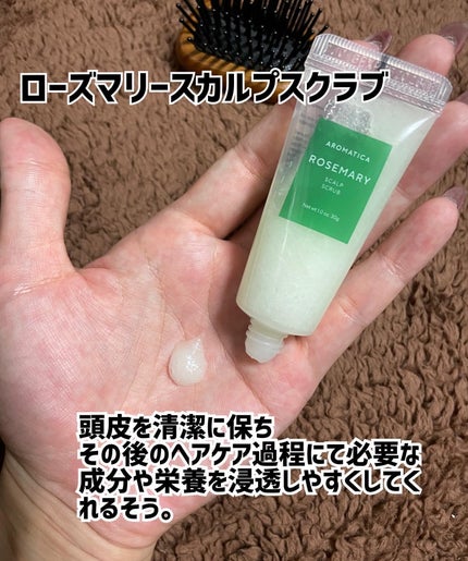 ローズマリー スカルプ スクラブ/AROMATICA/ヘッドスクラブを使ったクチコミ(5枚目)