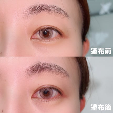 ザ コントゥア カラー(パウダー) BR350 ヘーゼルブラウン/Visée/ハイライト・シェーディングの画像