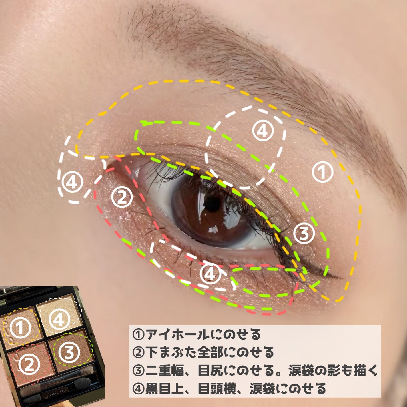 シグニチャー カラー アイズ/SUQQU/アイシャドウパレットを使ったクチコミ(5枚目)