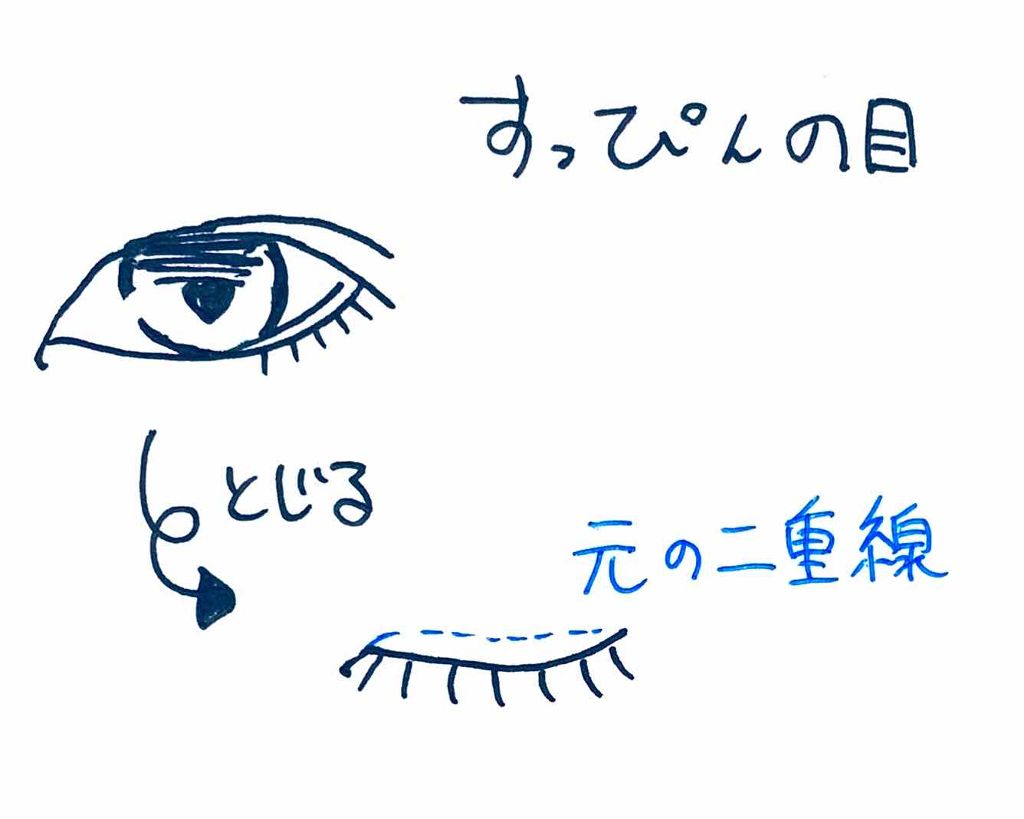 アイラッシュフィクサーEX 552/D-UP/つけまつげを使ったクチコミ(3枚目)