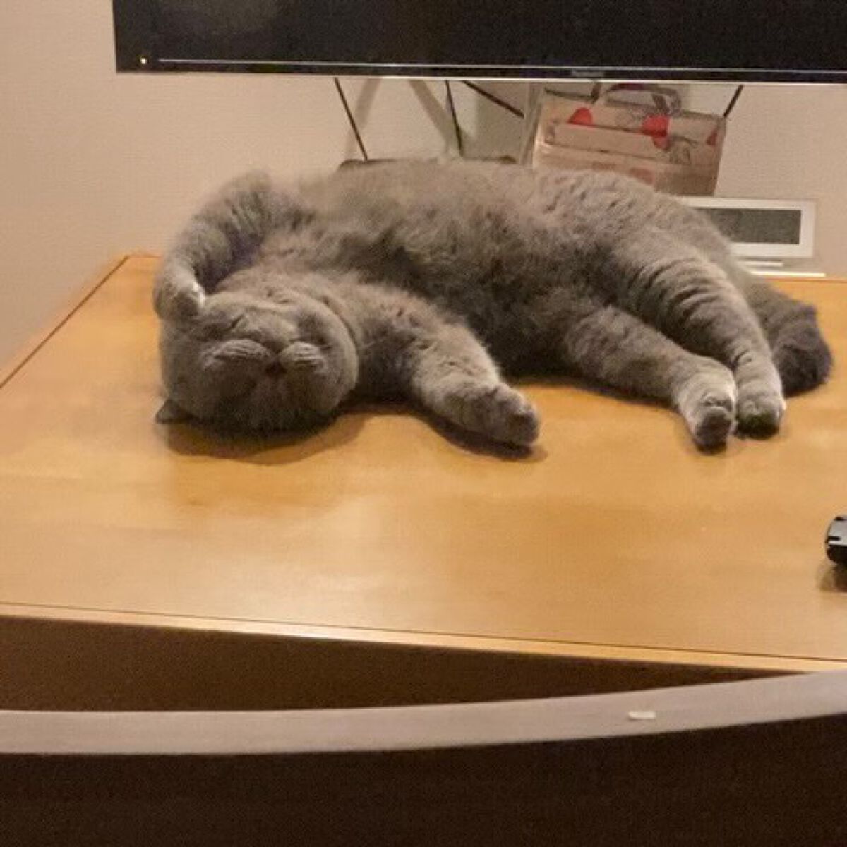 レチノショット 0.1/TOUT VERT/フェイスクリームを使ったクチコミ（3枚目）