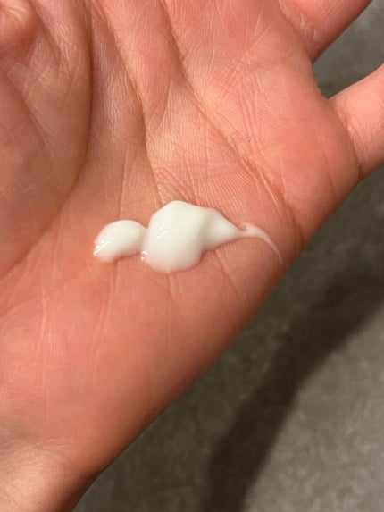 シカレチA エッセンス0.1/VT/美容液を使ったクチコミ(2枚目)