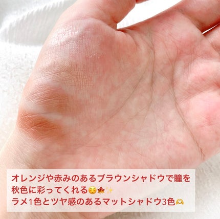 シルキースフレアイズ(マットタイプ)/キャンメイク/アイシャドウパレットを使ったクチコミ(2枚目)