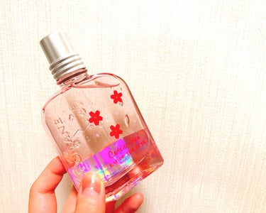 L'OCCITANE チェリープリズム オードトワレのクチコミ「♥オードトワレ
♥チェリープリズム
♥50ml
♥限定


こちらはお店で何気なく付けてみたと.....」（1枚目）