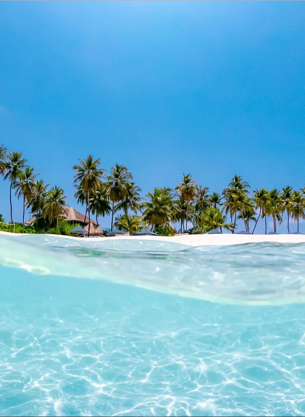 shinasaka 脱毛器 光美容器/shinasaka/家庭用脱毛器を使ったクチコミ（2枚目）