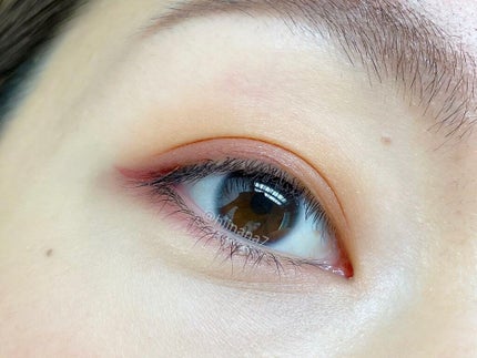 ピュア カラー ブラッシュ/SUQQU/パウダーチークを使ったクチコミ(4枚目)