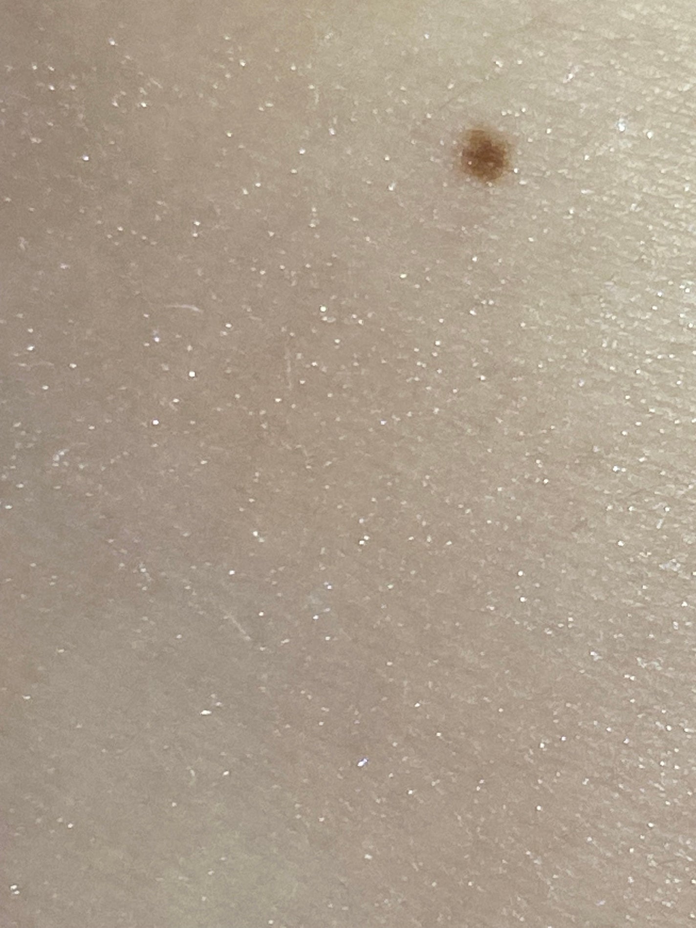 毛穴レスパウダー/CEZANNE/プレストパウダーを使ったクチコミ(10枚目)