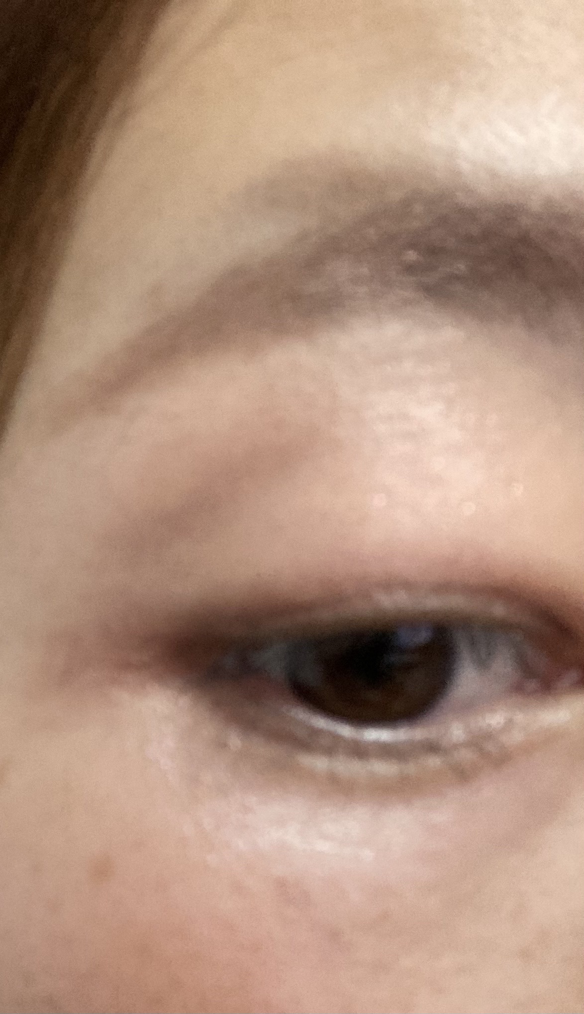 デザイニングアイカラー 01 ナチュラルブラウン/rafuna/アイシャドウパレットを使ったクチコミ（3枚目）