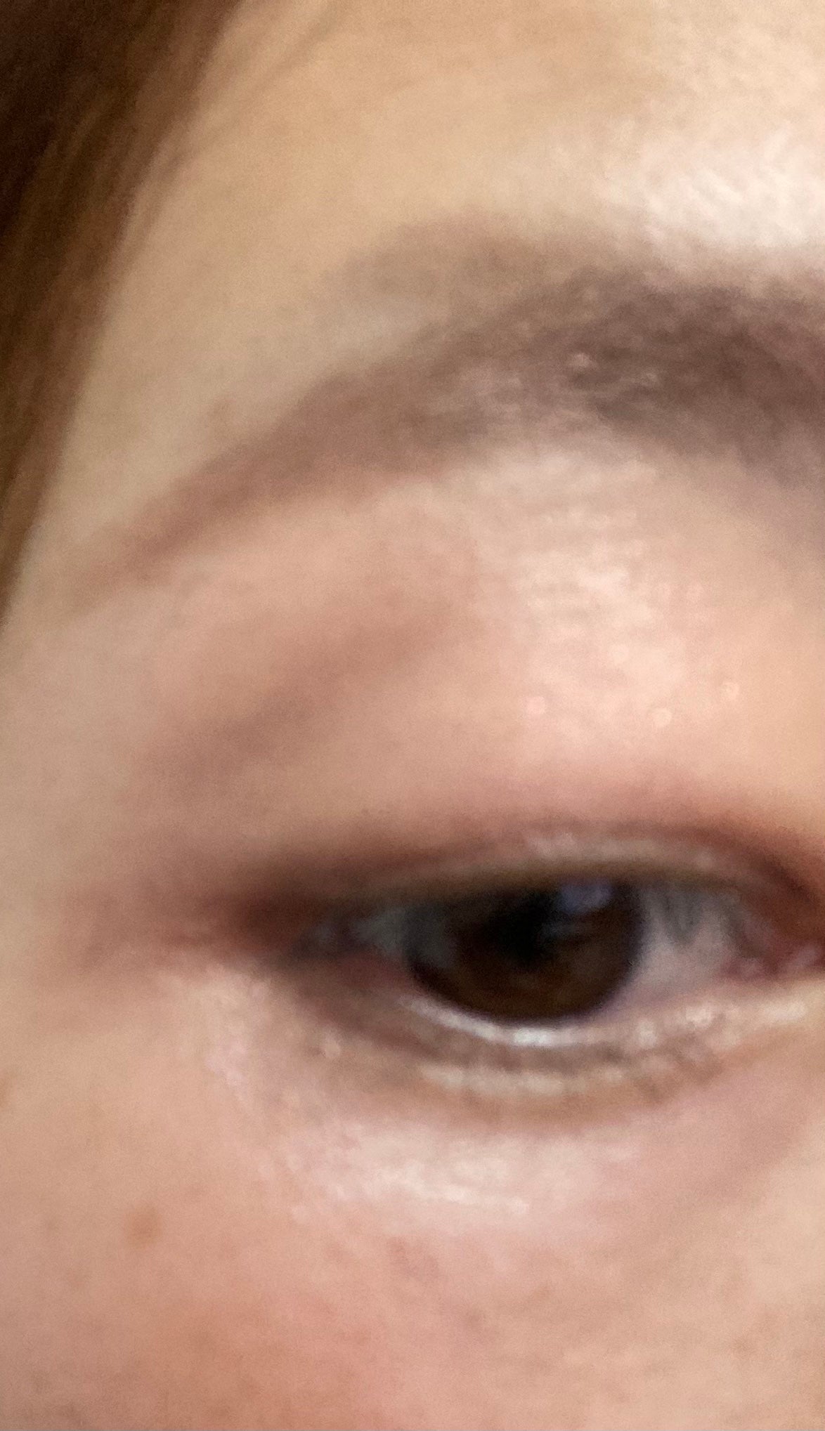 デザイニングアイカラー/rafuna/アイシャドウパレットを使ったクチコミ(3枚目)