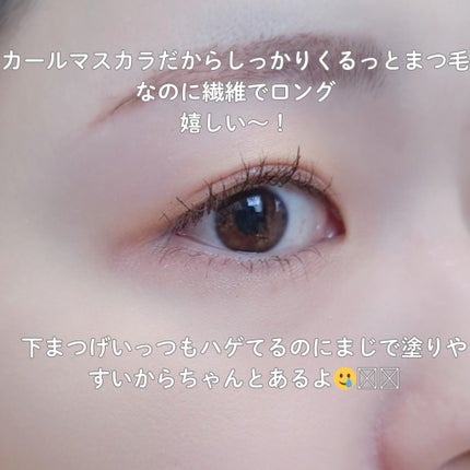 ハイパーリフトマスカラ/D-UP/マスカラを使ったクチコミ(4枚目)