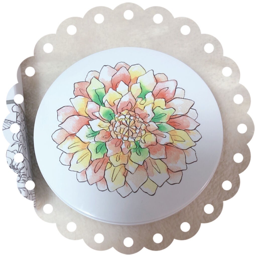 スキンプロポーショニングパウダー/Quince/プレストパウダーを使ったクチコミ(3枚目)