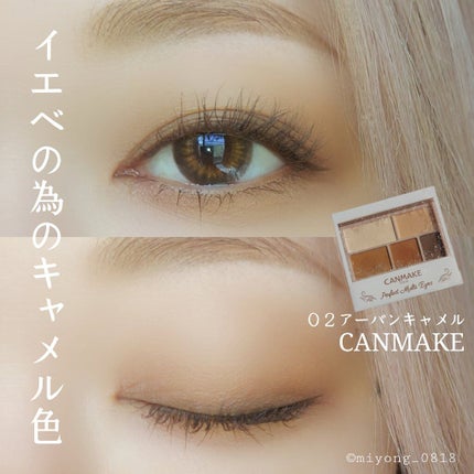 パーフェクトマルチアイズ/キャンメイク/アイシャドウパレットを使ったクチコミ(1枚目)