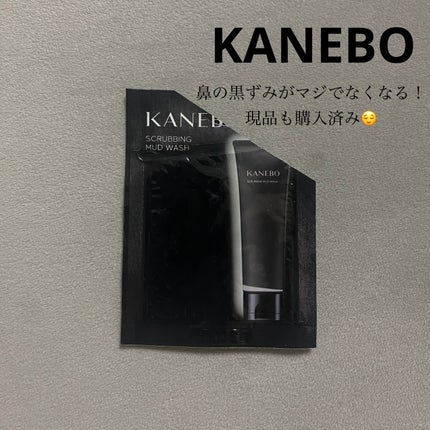 スクラビング マッド ウォッシュ/KANEBO/洗顔フォームを使ったクチコミ(1枚目)
