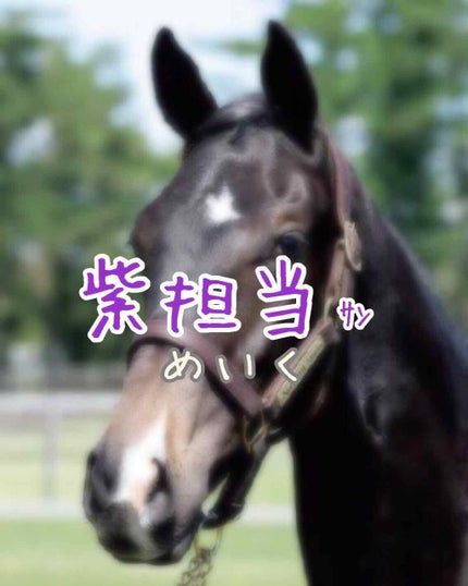 ブライトピュアベース/CandyDoll/化粧下地を使ったクチコミ(1枚目)