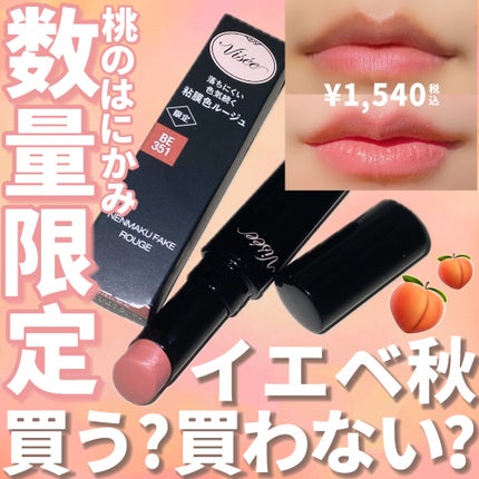 ネンマクフェイク ルージュ/Visée/口紅を使ったクチコミ(1枚目)