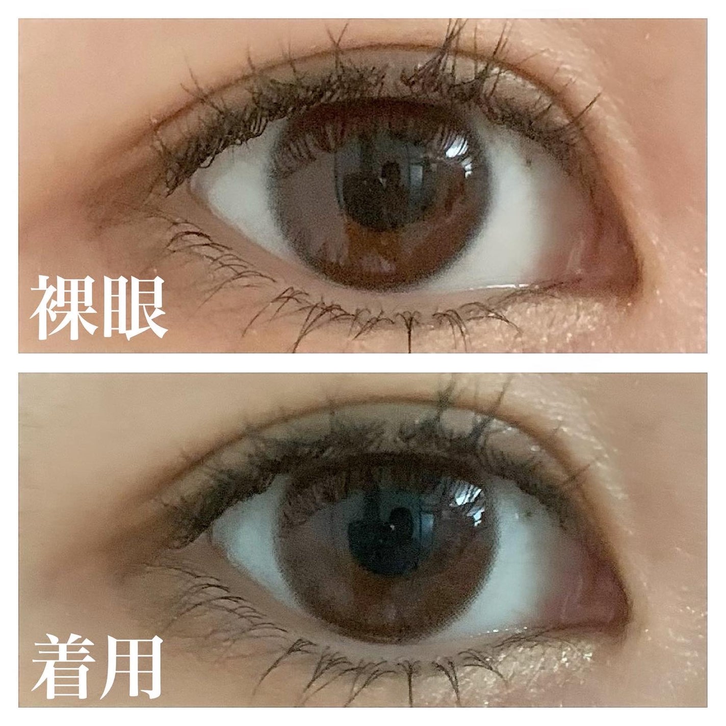 LuMia comfort 1day CIRCLE/LuMia/ワンデー(1DAY)カラコンを使ったクチコミ(2枚目)