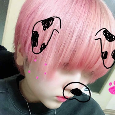 ヘアカラークリーム マニックパニックの口コミ マニックパニック ホットホットピン By あまぞん 乾燥肌 代前半 Lips ヘアカラークリーム マニックパニックの口コミ マニックパニック ホットホットピン By あまぞん 乾燥肌 代前半 Lips