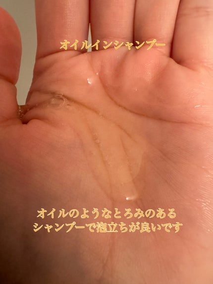 オイルインシャンプー/オイルインコンディショナー (グロス&リペア)/ディアボーテ/市販シャンプーを使ったクチコミ(2枚目)