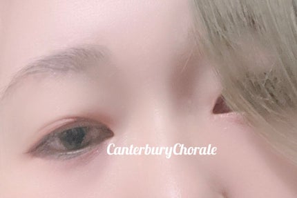 N’s COLLECTION 1day/N’s COLLECTION/ワンデー(1DAY)カラコンを使ったクチコミ(4枚目)