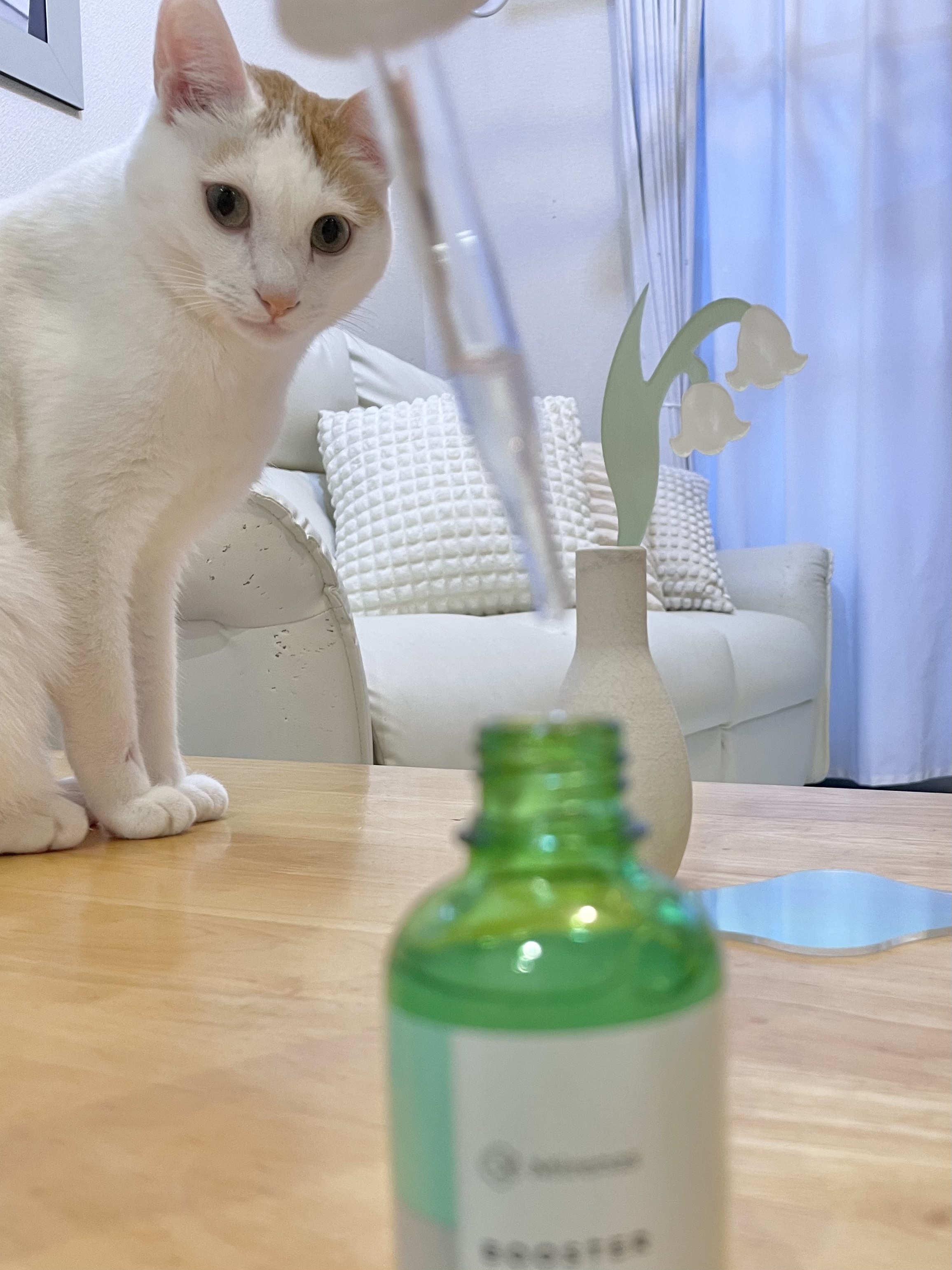 導入美容液/ミレナス/ブースター・導入液を使ったクチコミ（3枚目）