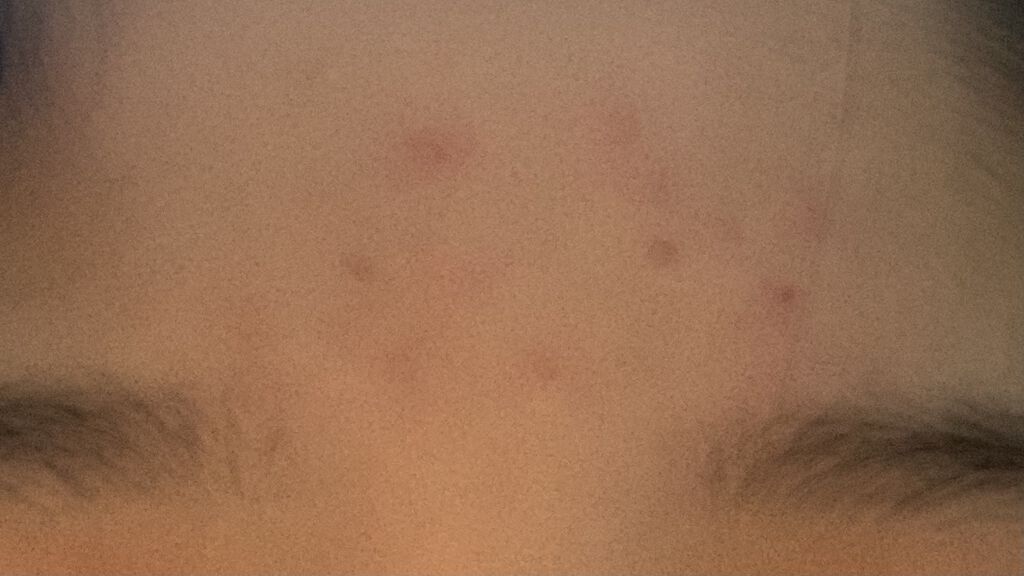 化粧水・敏感肌用・高保湿タイプ/無印良品/化粧水を使ったクチコミ（2枚目）