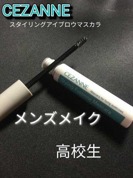 スタイリングアイブロウマスカラ/CEZANNE/眉マスカラを使ったクチコミ(1枚目)