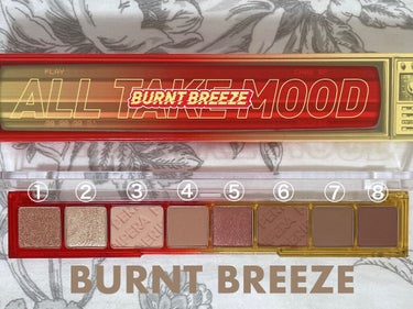 オール テイク ムード パレット 03 BURNT BREEZE/PERIPERA/アイシャドウパレットを使ったクチコミ（2枚目）