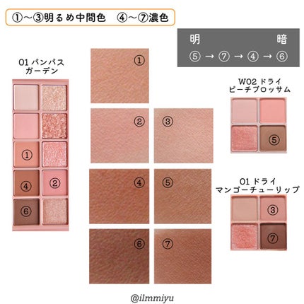 ミユ @ilmmiyu on LIPS 「▼ロムアンドアイシャドウ比較①〖𝙏𝙬𝙞𝙩𝙩𝙚𝙧・𝙄𝙣𝙨𝙩..」(8枚目)