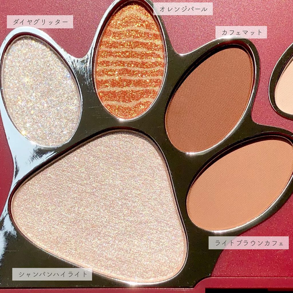 トラ十色アイシャドウパレット/COLORKEY/アイシャドウパレットを使ったクチコミ(4枚目)