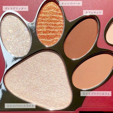 トラ十色アイシャドウパレット/COLORKEY/アイシャドウパレットを使ったクチコミ(4枚目)