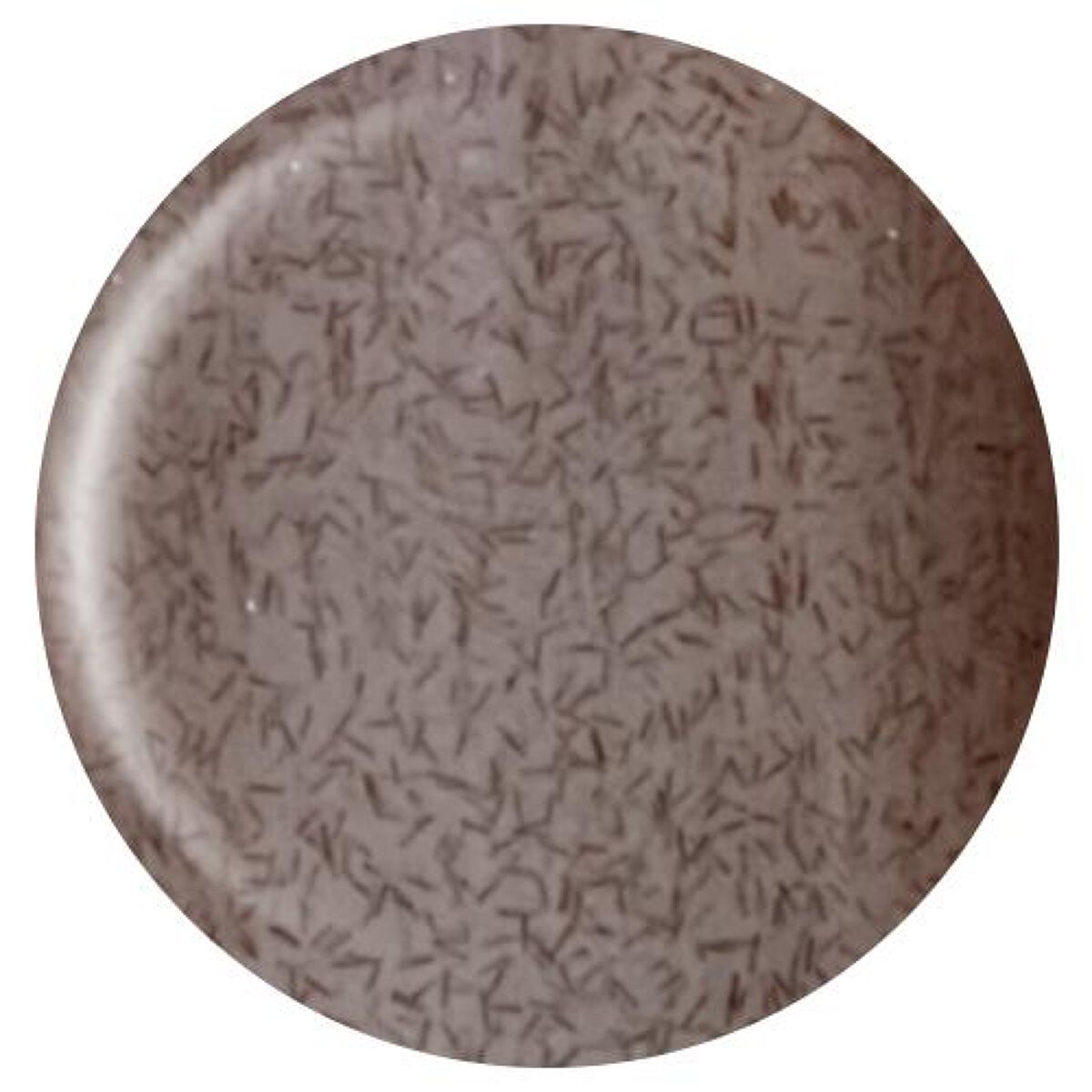 カラージェル 1019 モヘアスモーク