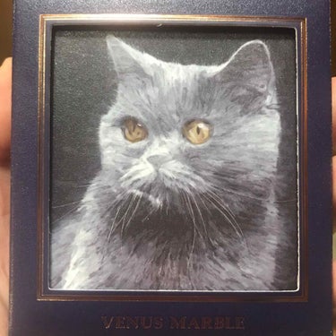 Venus Marble 
猫シャドウパレット
ロシアンブルーとおもったらブリティッシュショートヘアだってさ。

興味はあったけど中国コスメをネットで買うのはちょっと抵抗あったのでLOFTで発売にてゲッ