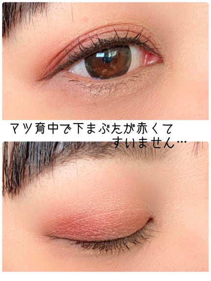 ダブルヴェール アイズ/Visée/アイシャドウパレットを使ったクチコミ(4枚目)