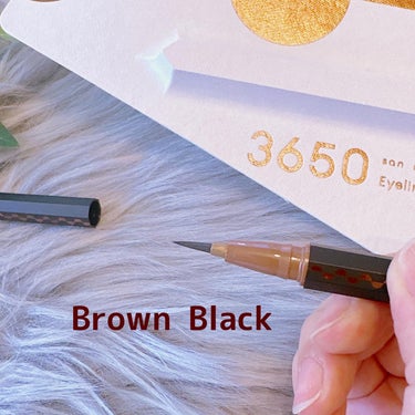 リキッドアイライナー  Brown Black(ブラウンブラック)/3650/リキッドアイライナーを使ったクチコミ（2枚目）