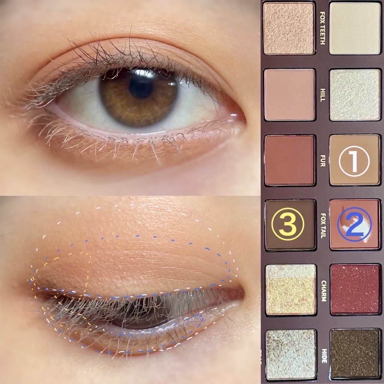 エクスプローラ12色 動物アイシャドウパレット/PERFECT DIARY/アイシャドウパレットを使ったクチコミ（2枚目）