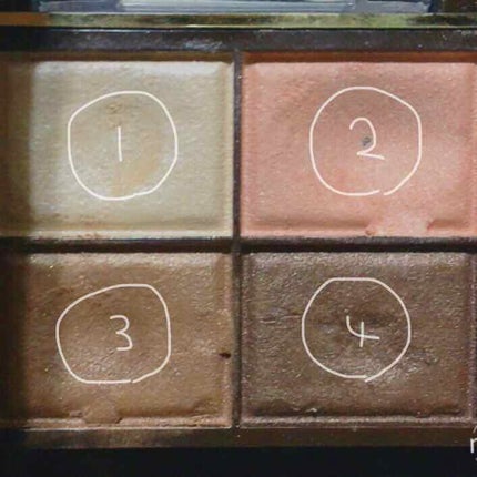 スキニーリッチシャドウ/excel/アイシャドウパレットを使ったクチコミ(2枚目)