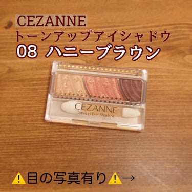 トーンアップアイシャドウ/CEZANNE/アイシャドウパレットを使ったクチコミ（1枚目）