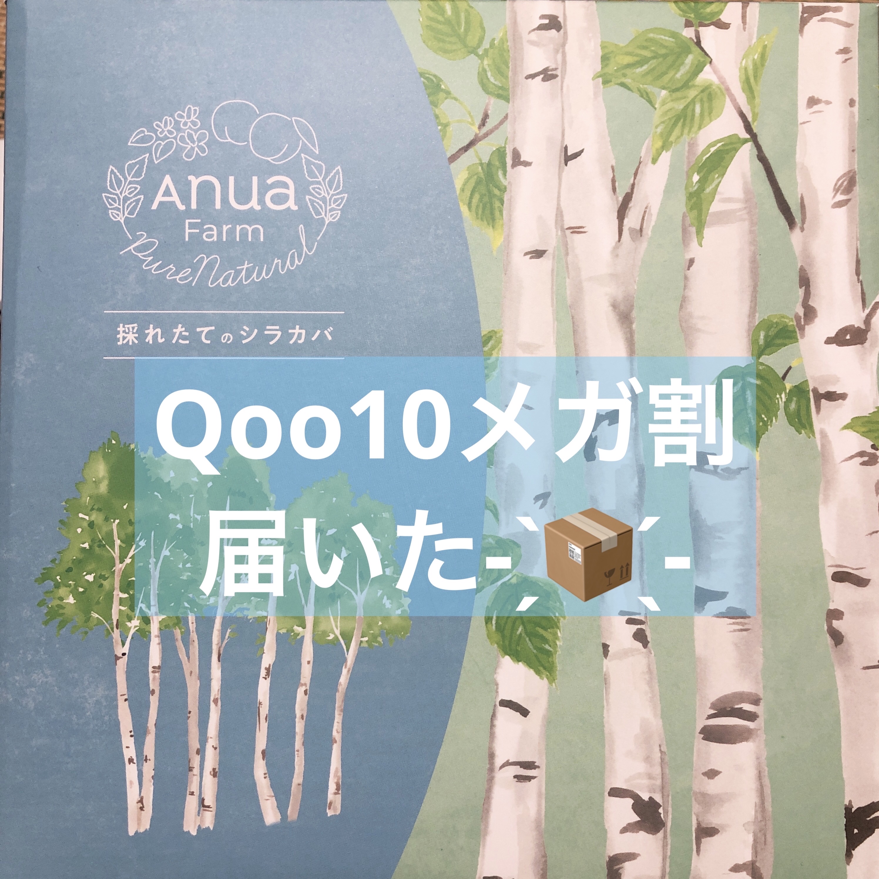 シラカバ 水分 ブースティング パッド/Anua/トナーパッドを使ったクチコミ（1枚目）