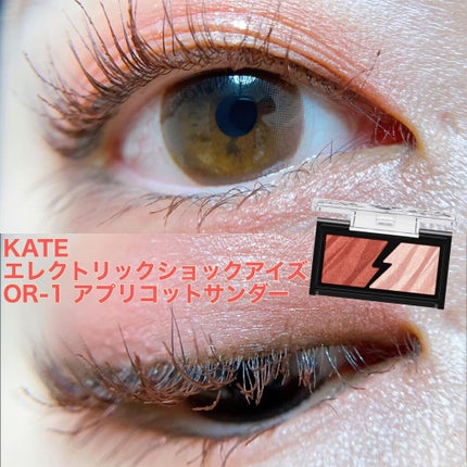 エレクトリックショックアイズ /KATE/アイシャドウパレットを使ったクチコミ(1枚目)