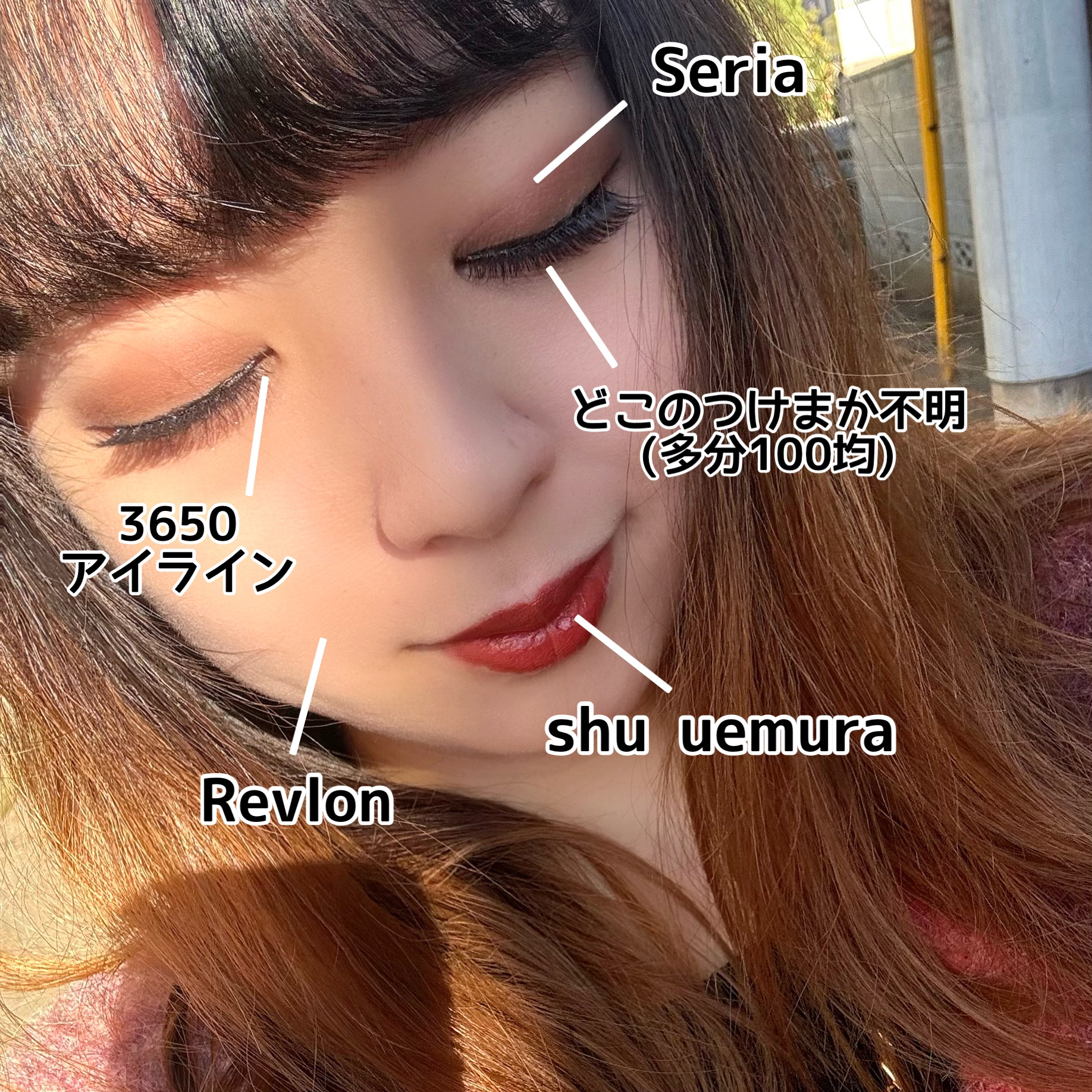 キヌ ルージュ マット BR 784/shu uemura/口紅を使ったクチコミ（2枚目）