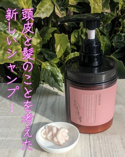 クレイクリームシャンプー(スムース)/cocone/市販シャンプーを使ったクチコミ(2枚目)