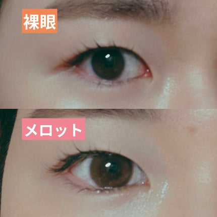 melotte 1day/melotte/ワンデー(1DAY)カラコンを使ったクチコミ(2枚目)