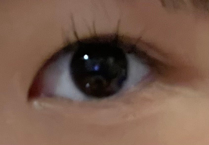 ウォンジョンヨ W デイリームードアップパレット /Wonjungyo/アイシャドウパレットを使ったクチコミ(1枚目)